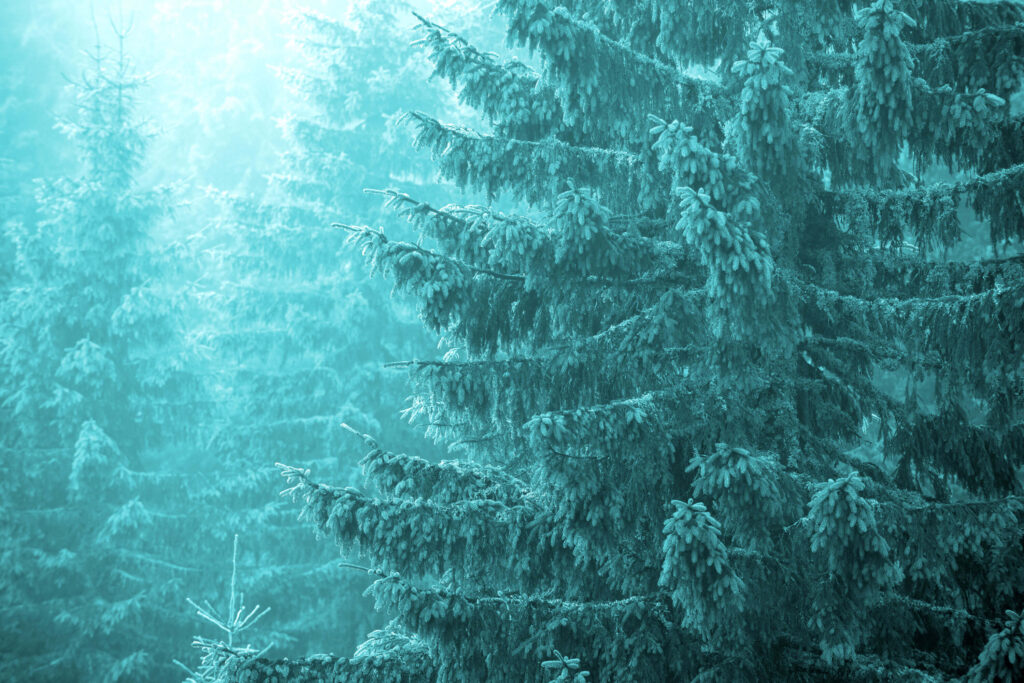 Aqualung Carbon Capture and Nitto Denko Announce Strategic Partnership and Equity Investment