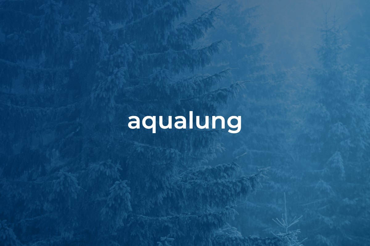 Aqualung Carbon Capture AS announces management changes